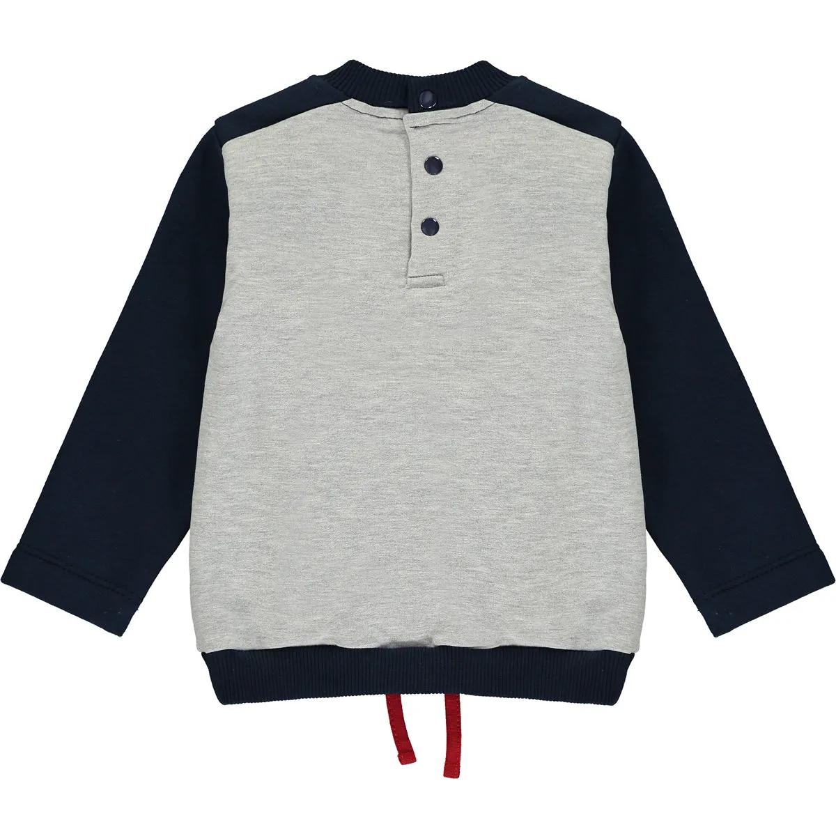 Bear Baby boy Tracksuit Set