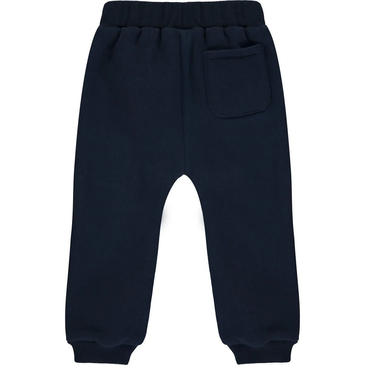 Bear Baby boy Tracksuit Set