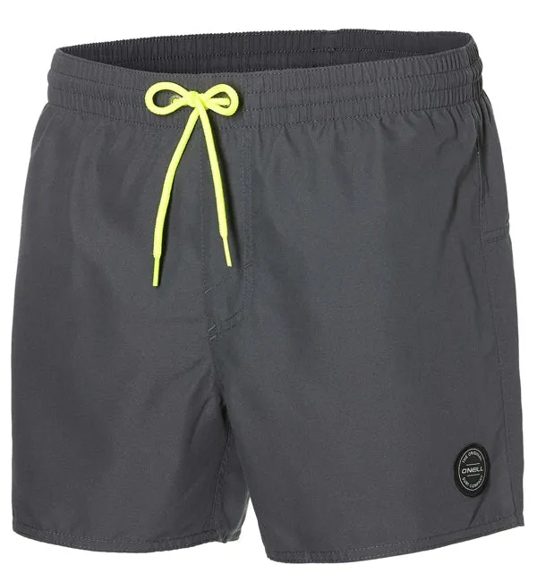 O'Neill Back Logo Shorts