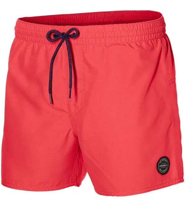 O'Neill Back Logo Shorts