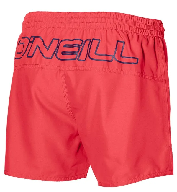 O'Neill Back Logo Shorts