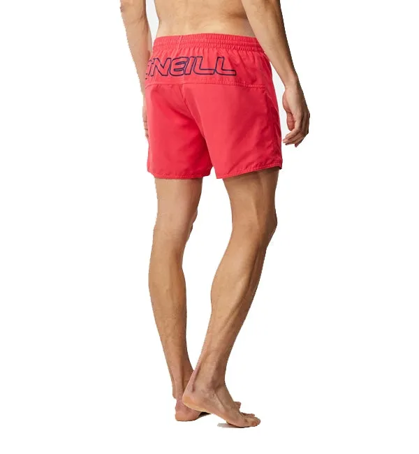 O'Neill Back Logo Shorts